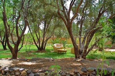 Les Jardins De Skoura