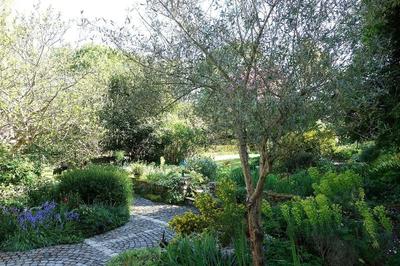 Les Jardins De Camelot