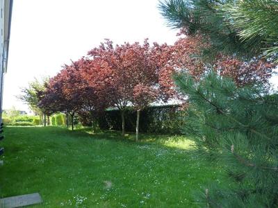 B&B HOTEL Chalons En Champagne