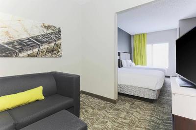 SpringHill Suites by Marriott Austin Parmer/Tech R