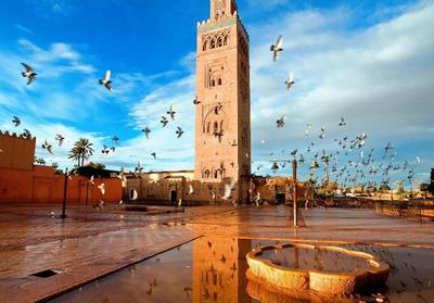 Riad Al Jana