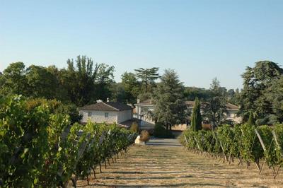 Les Secrets Chateau Pey La Tour