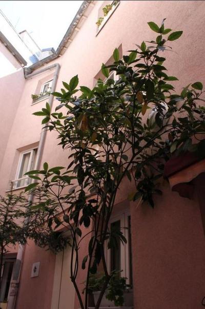 Hôtel Aladin