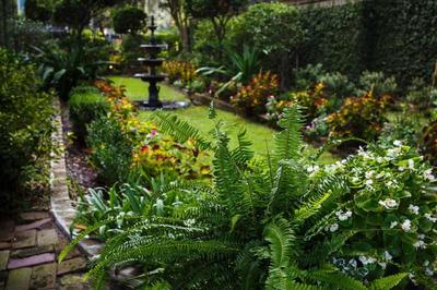 The Gastonian, Historic Inns of Savannah Collectio