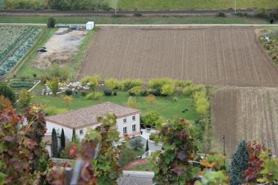 Hôtel Le Domaine des Vignes