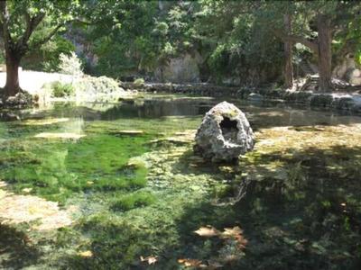 Domaine Des Tilleuls