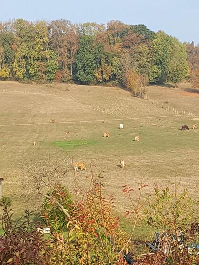 Le Domaine des Prés