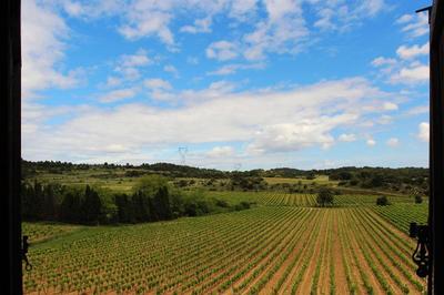 Domaine De Palatz