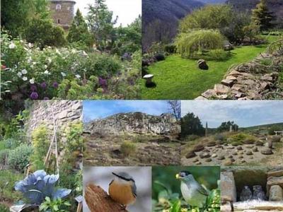 Les Jardins de L'abbaye