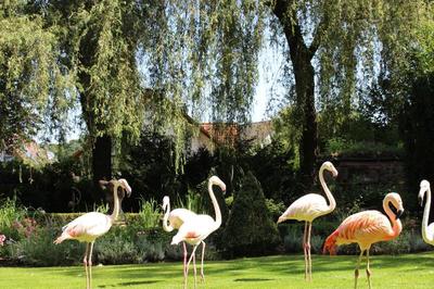 Parkhotel Krone