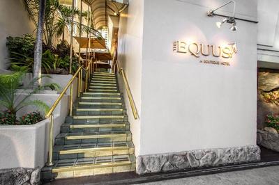 Paniolo At The Equus