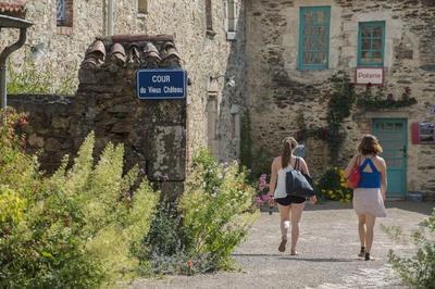 Le Petit Chateau Des Cedres