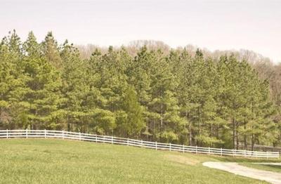 Harmony Hill B&B