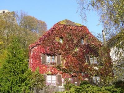 Maison des 5 Temps : Chambres Dhôtes de Charme à