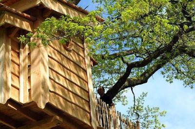 La Cabane Du Vieux Chêne