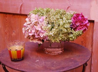 Ombre Rose