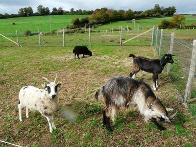 Chambres d'hôtes le Pot au Lait