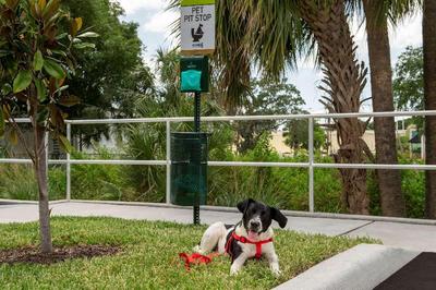 Home2 Suites by Hilton Tampa Westshore Airport
