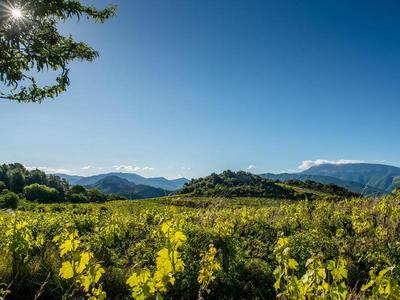 Logis Hotel Plantevin