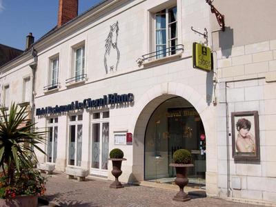 Logis Hotel Restaurant Le Cheval Blanc Blere
