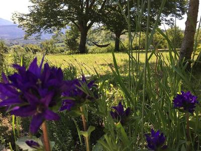 Weekend En Provence