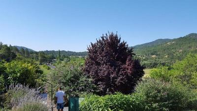 Domaine de Prefaissal 2