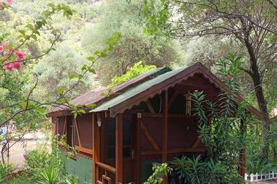 Canario Bungalows