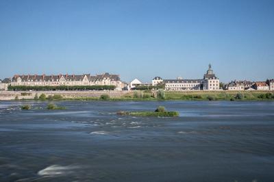 Fleur de Loire