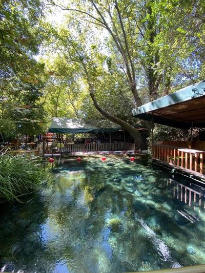 Yuvarlakcay Cinar Butik Otel