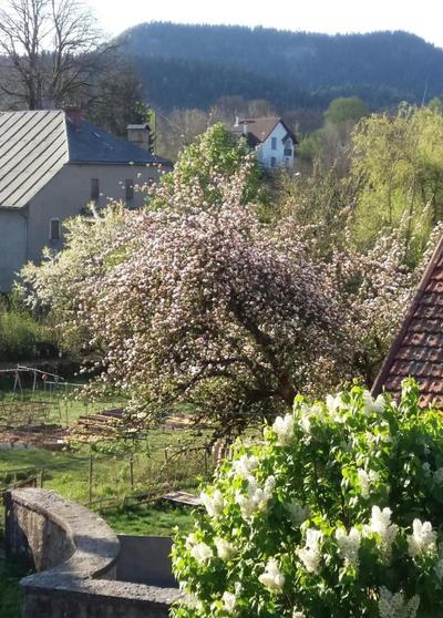 Chambres D Hotes Le Clos Marie