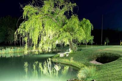 Domaine Ribiera
