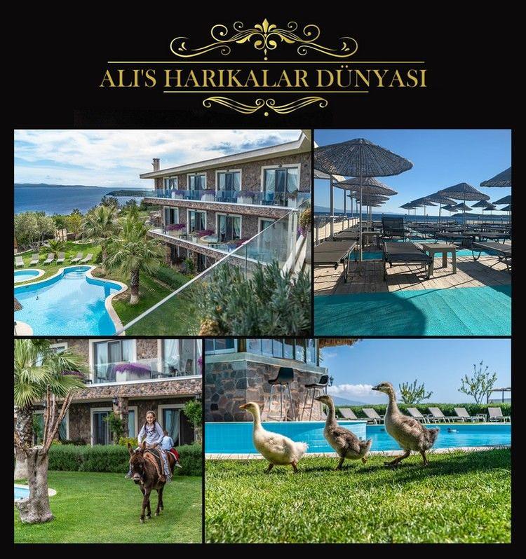 Alis Harikalar Diyarı