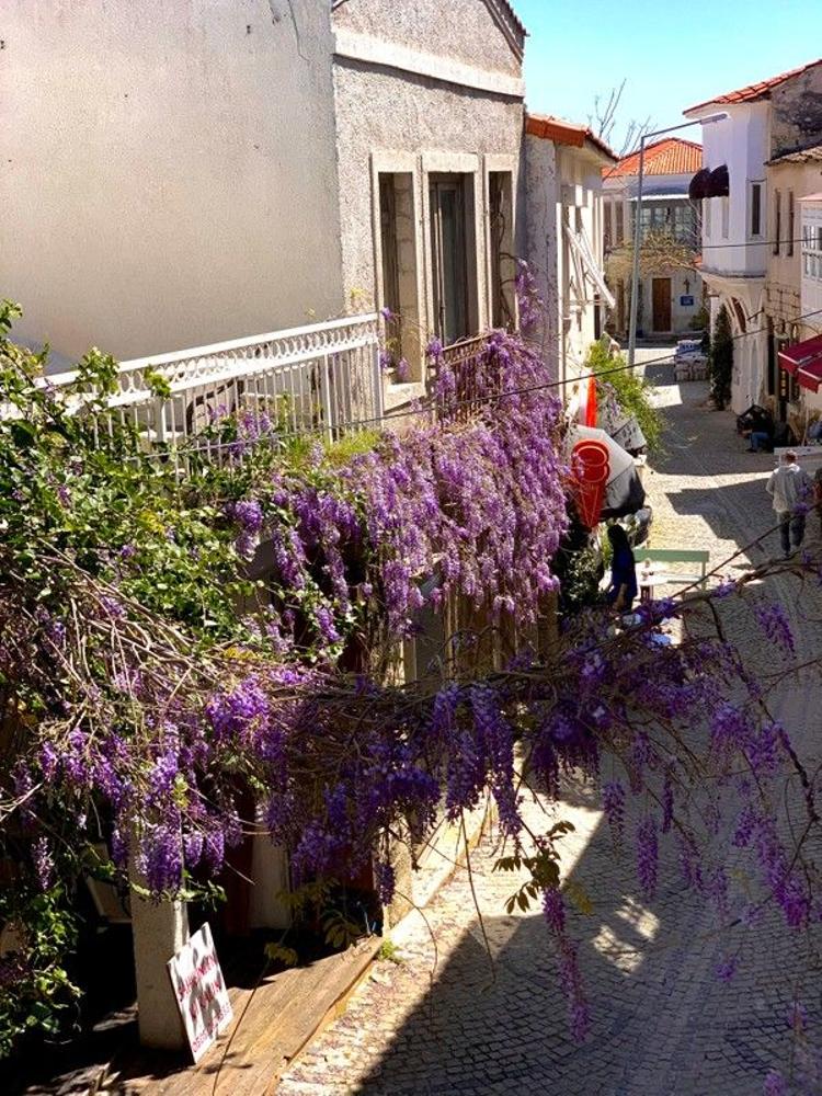 Windmill Alacati Koyici