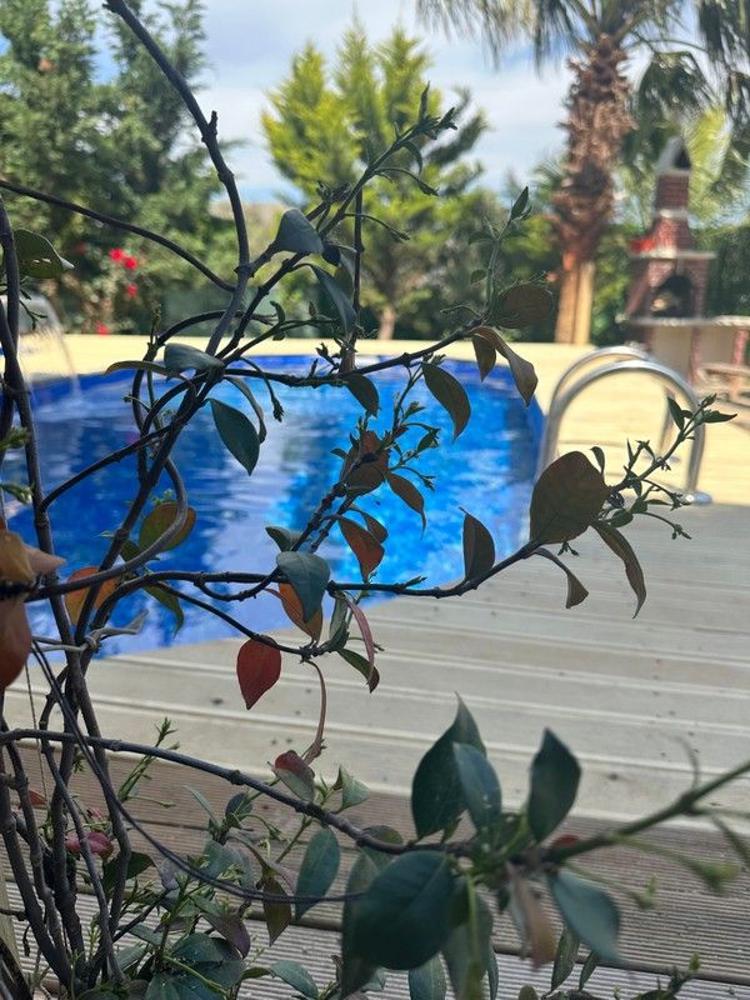 Rentavill Villaları