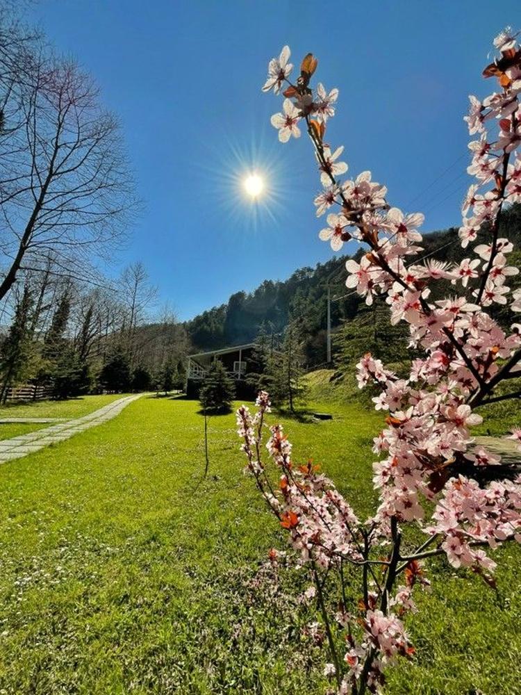 Feel & Live Hotel Villas