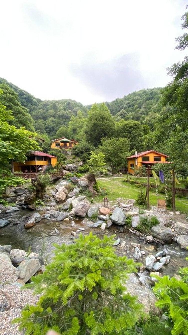 Kartal Vadisi Dağ Evleri