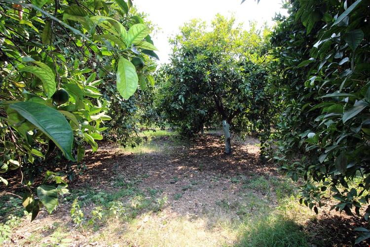 Gold Altınkaya Camping Apart