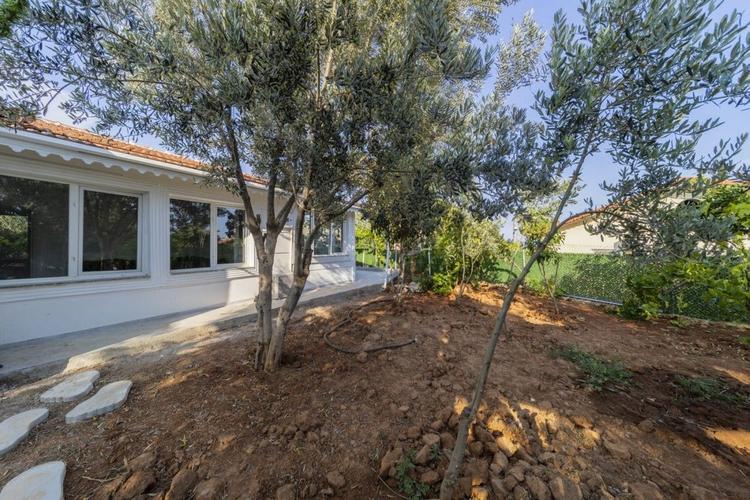 Penjing | Muratpaşa