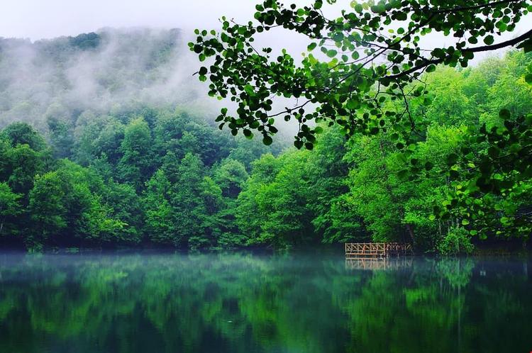 Habitat Mesire Evleri Yedi Göller Milli Parki