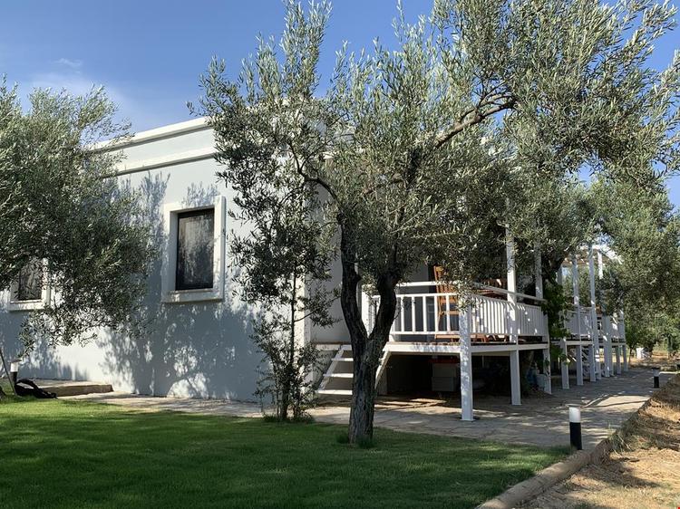 Zeytinli Bahçe Konuk Evi