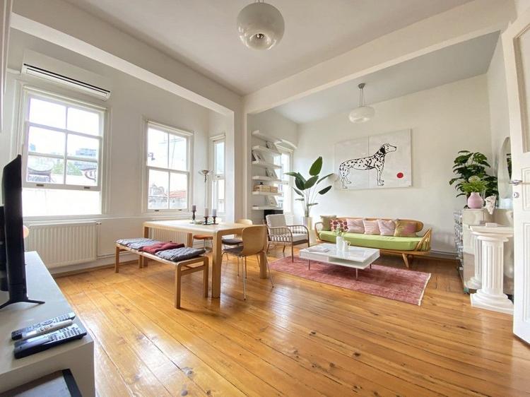 Dalmatian | Beyoğlu