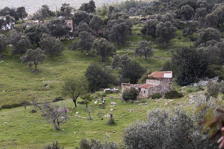 Bodrum Yalıçiftlik'de Villa Bd482