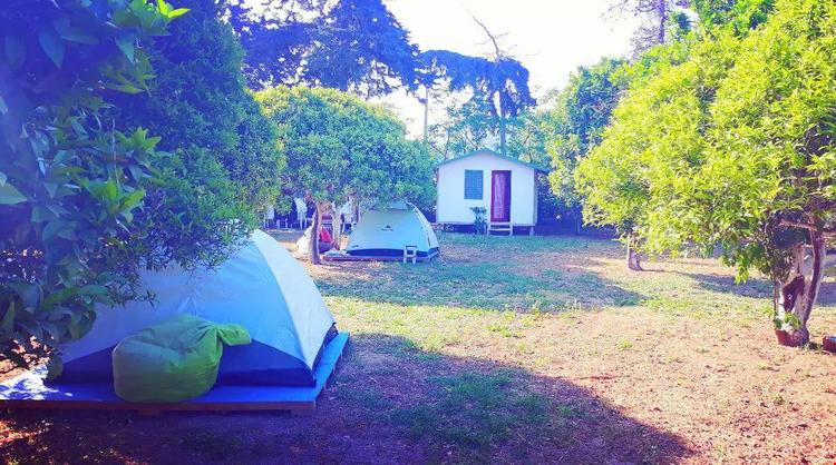 Ecofarm Camp & Bungalow