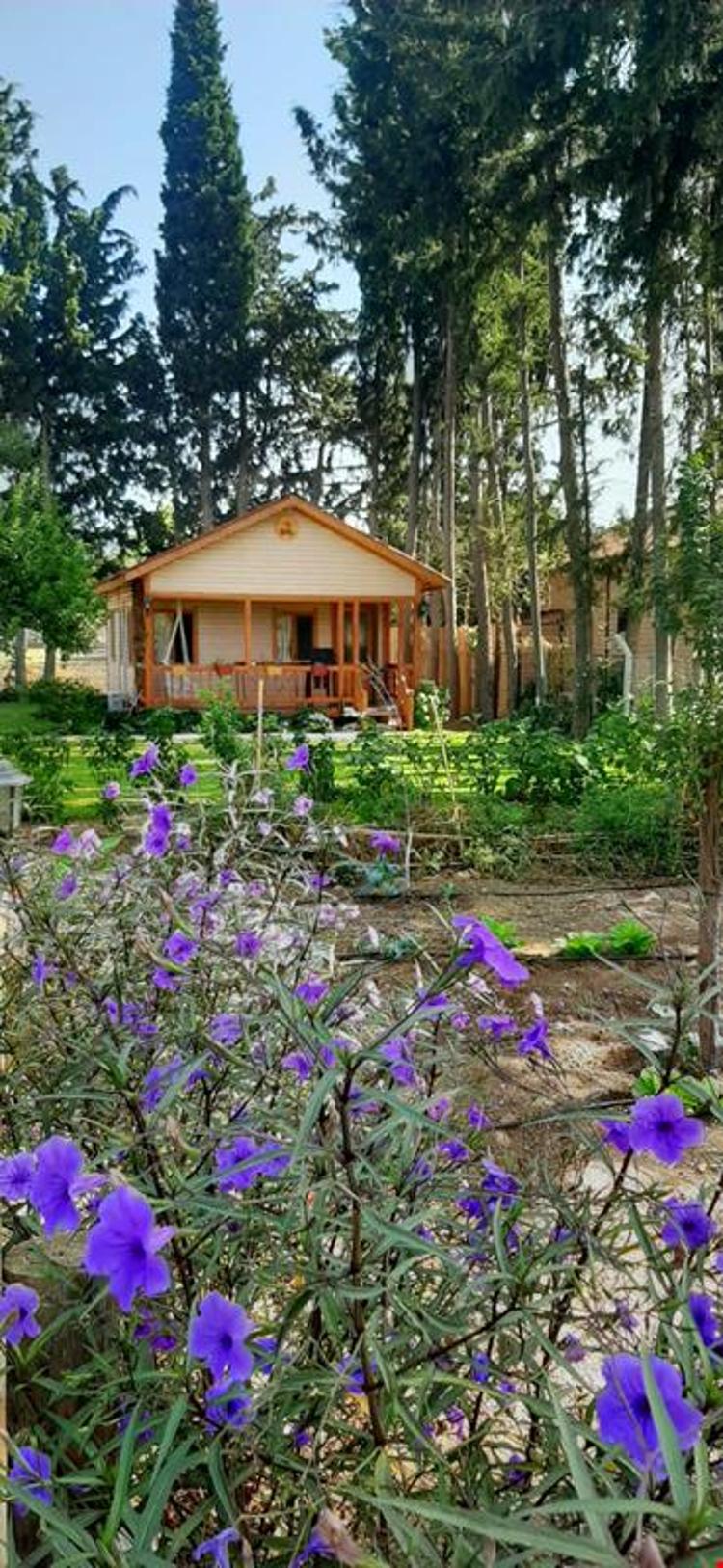 Andızaltı Doğa Evleri