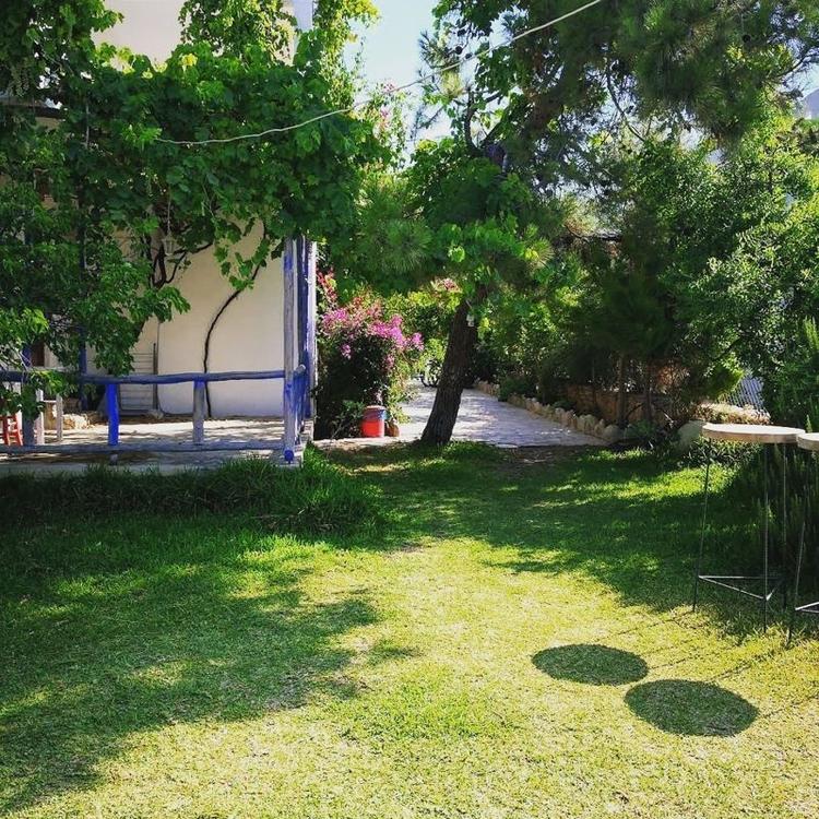 Zeytin Pansiyon ve Apart