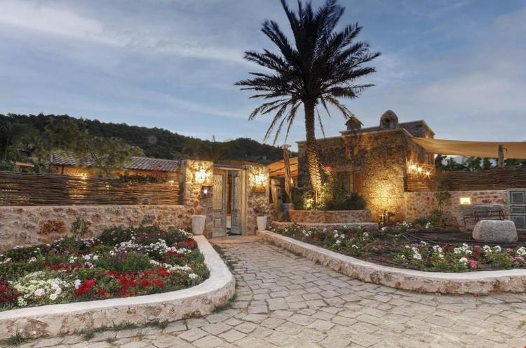 Ada Dreams | History (+13)