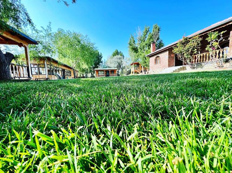 Bungalow Life Garden