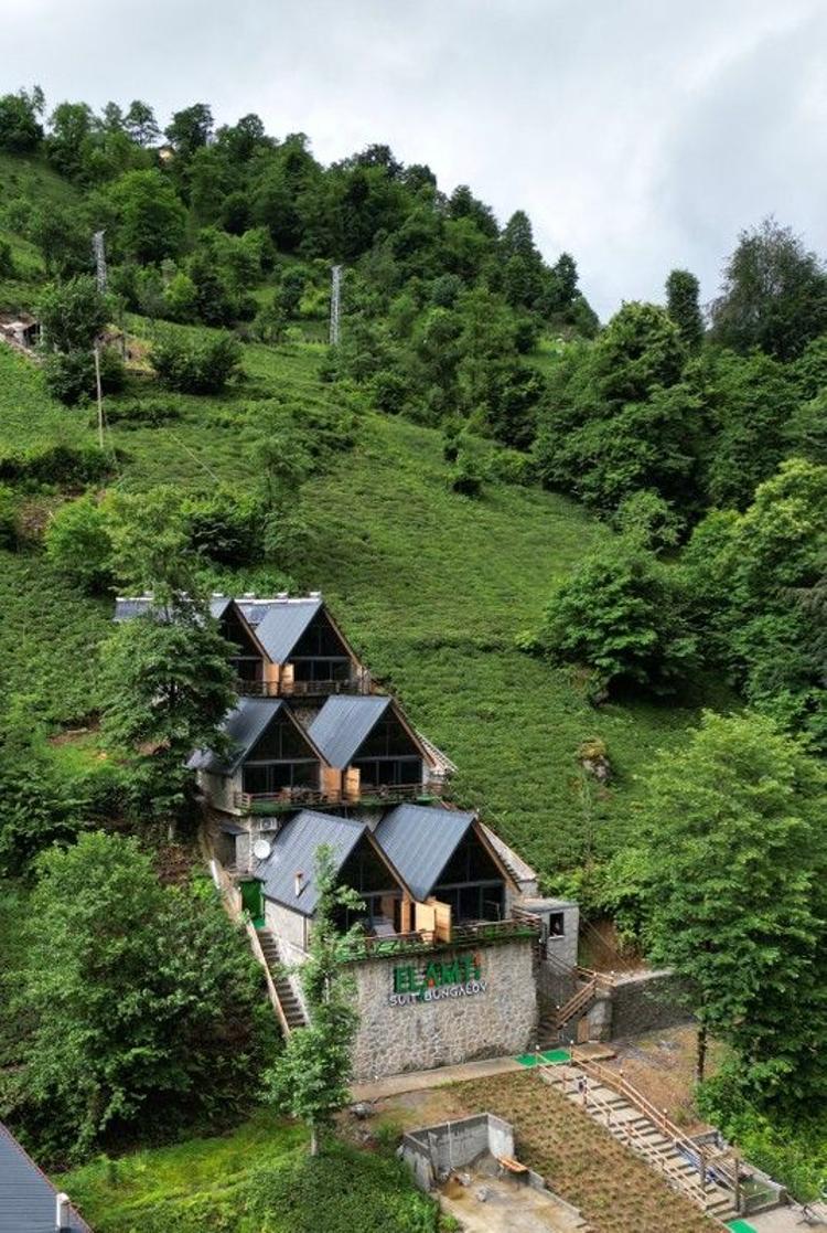 Elamti Suit Bungalov