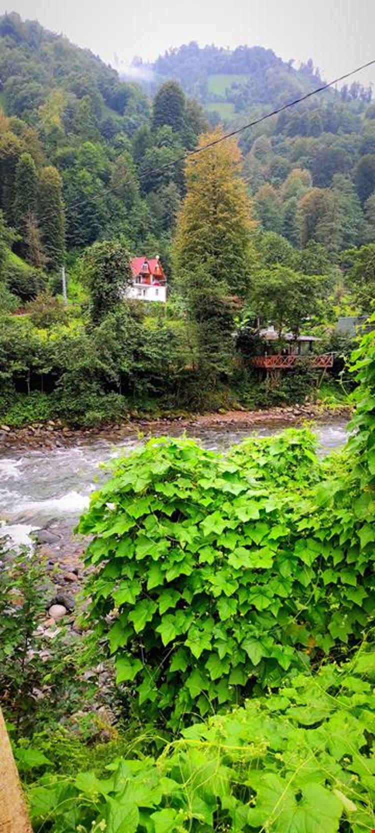Natürel Apart Bungalow