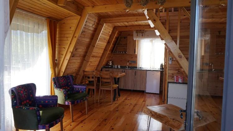 Yesil Dus Tatil Koyu